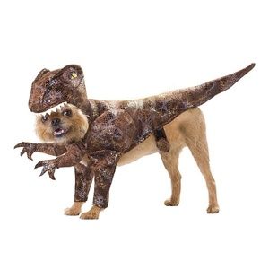 Dog dinosaur costume Small